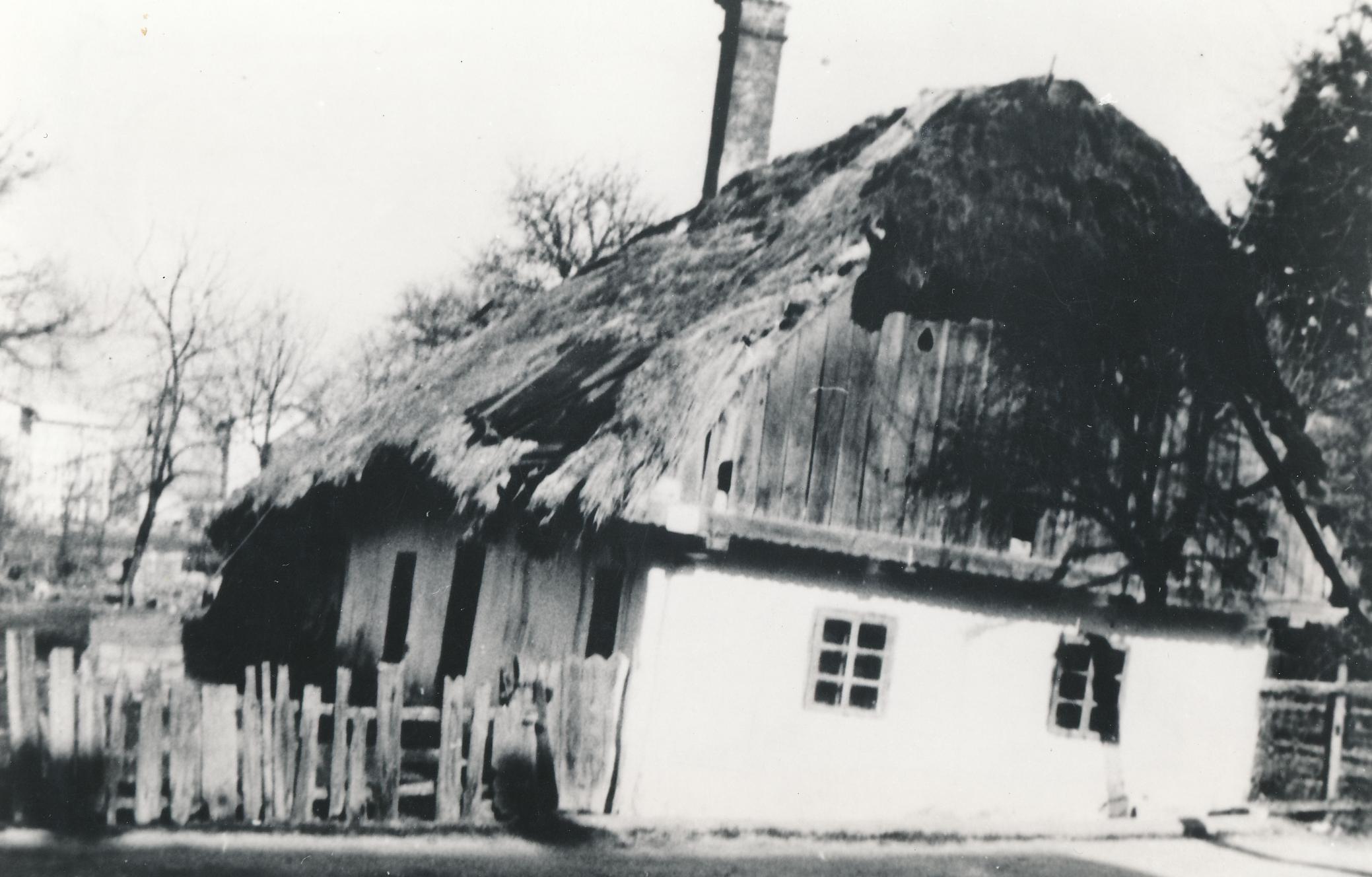 eika image